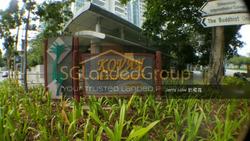 Nanyang Park (D19), Semi-Detached #147129682